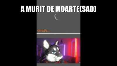 HAIDETI SA VIBRAM COAIE