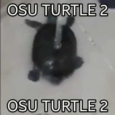 osu turtle 2: THE RETURN OF THE TESTUDINE