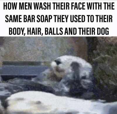 What else should we need?