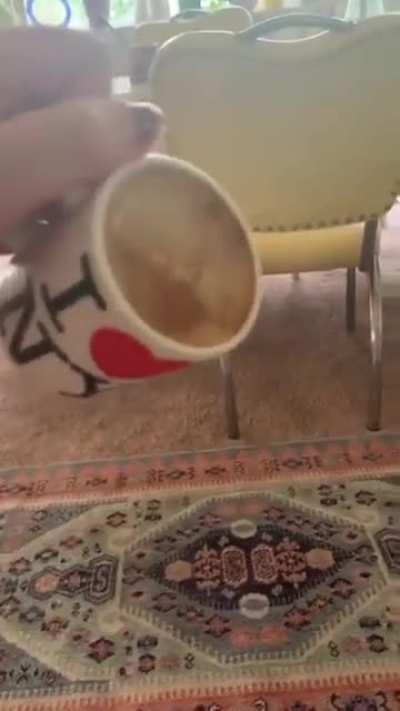 Tipping a cup of coffee over a laptop.