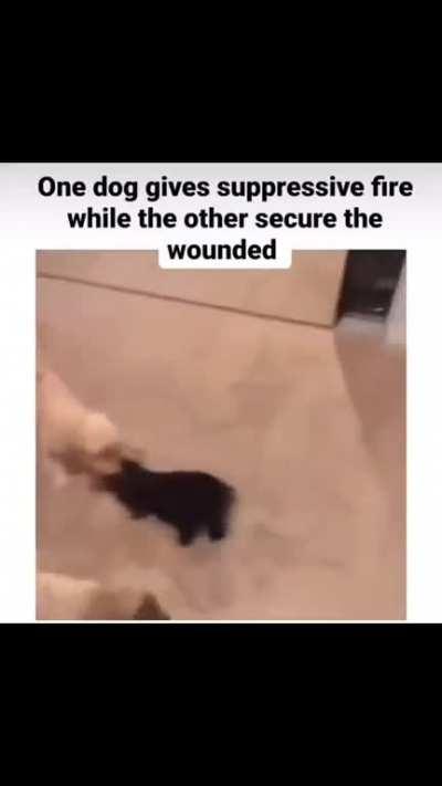 Ok, you distract them while I save Larry