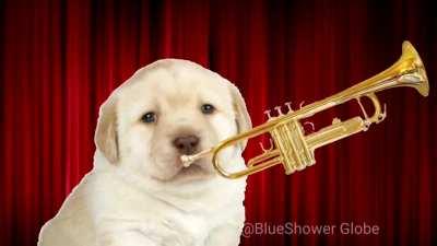 Once again, died in youtube