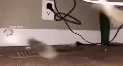 DylanteroYT - Video #7914