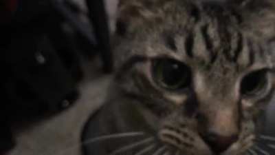 Not sure if this belongs here.