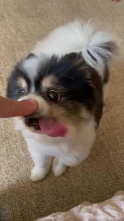 Attempts were made...