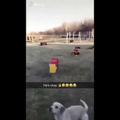 𓀠 AuAu gira gira 𓀠