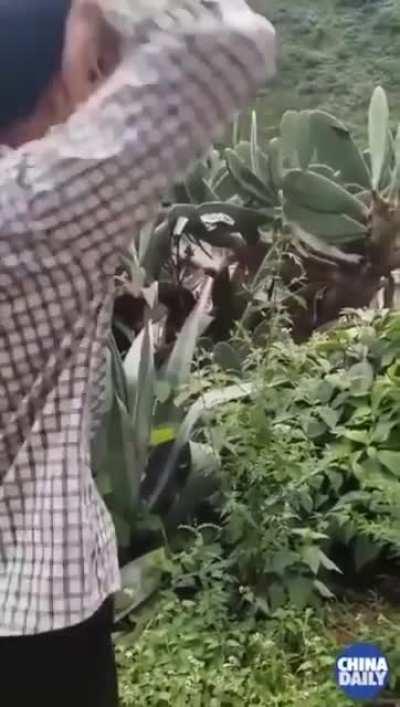 Interviewer: so, what skills do you have?