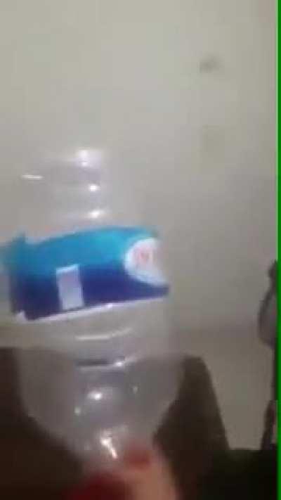 Yarasa nasıl bayıltılır