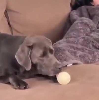 The doctor says I need to be more active...