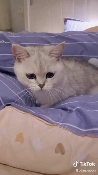 Where did the dot go ?!?!