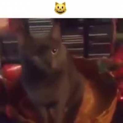 Nenhum homem tem uma arma contra a ele: