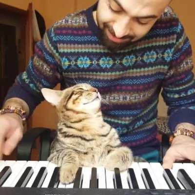 Kitty really enjoys listening to the piano