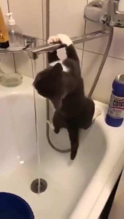 Crosspost from animals being derps but damn g help the guy out