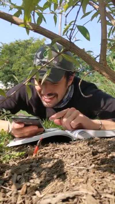 Just wait for the end