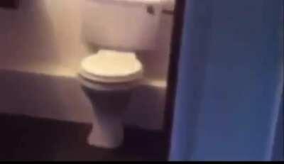 how to repair a toilet 101