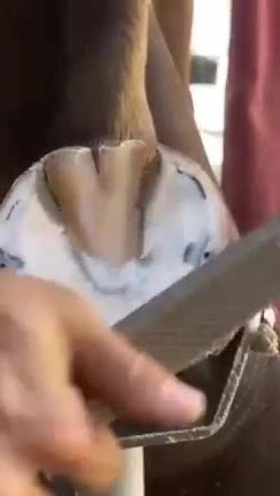 Оказывается это делается так? ебать