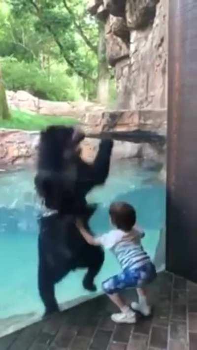 Sure, I'll jump with you kid