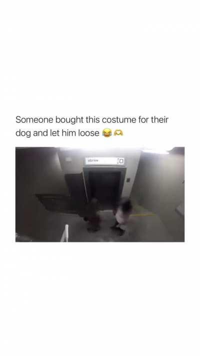 Blursed_Costume