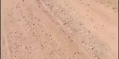 HMB whilst I jump my truck