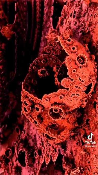 Quick Math = You are everything yet nothing.