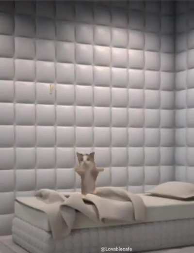 Wunk_irl (has sound)