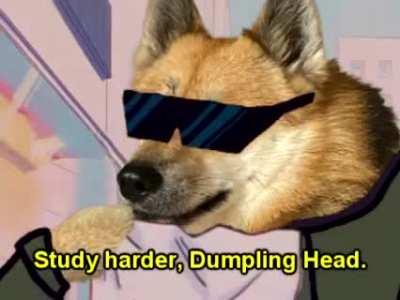 Sailor Doge meets unwacky character