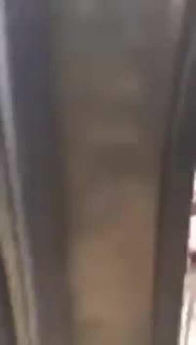 Petting a bear cub probably isn’t a good idea.