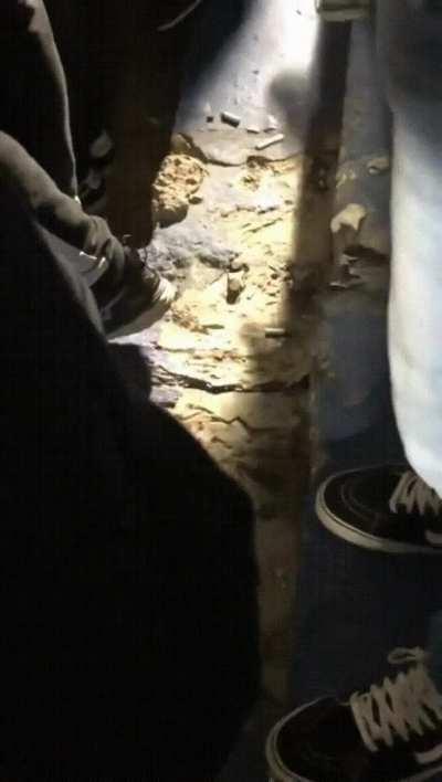 Yeah, I'd grab my life and run out of this stadium asap