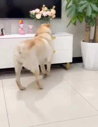 now, try this one...