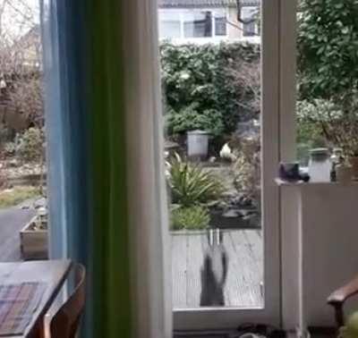 He has NO patience is what's wrong