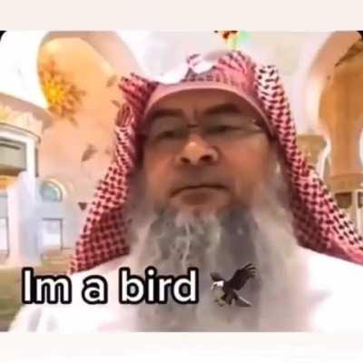 Sheikh birb