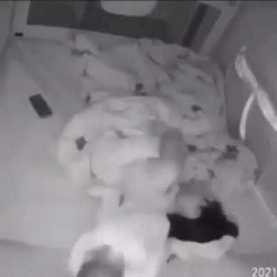 Is that a jojo reference !!1!1!1!!!!1!1