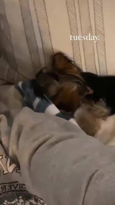 Hailee & Martini Hanging on a Tuesday