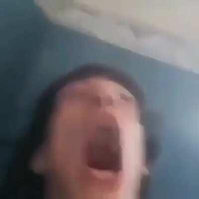 Beelce: Si Darkrai, no me importa que te hayas ligado a la cosplay de Annie y yo me quedo con Glaceon. Beelce por dentro: