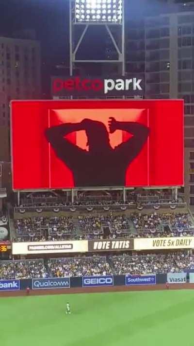 The best Silhouette challenge 🤩