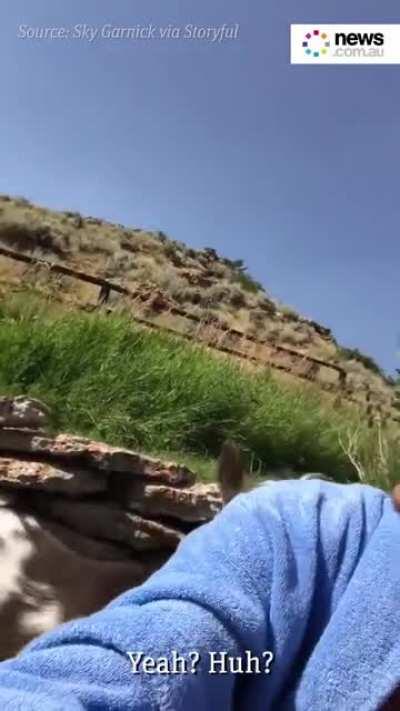 Never argue with a goat, they'll only climb up to your level and spit at you