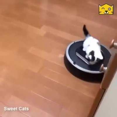 an INTP giving their INFP friend a ride 😎