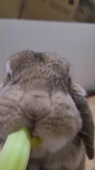 That CRONCHY goodness!