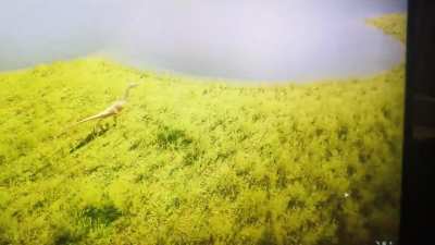 Why my dinosaur running in slo mo ?