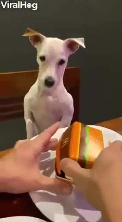 I dont think he is very happy