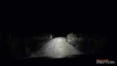 what it feels like to play adc in 2021