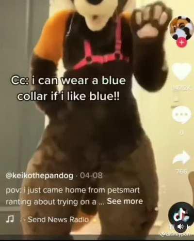 The usual “I’m a canine” bullshit