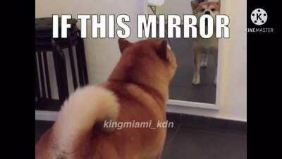 [OC] Doge is the Ruler Of Everything (FULL SONG)