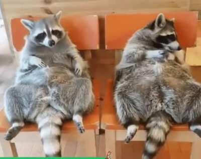 Couple of weirdos. Please upvote original from u/Le7enda