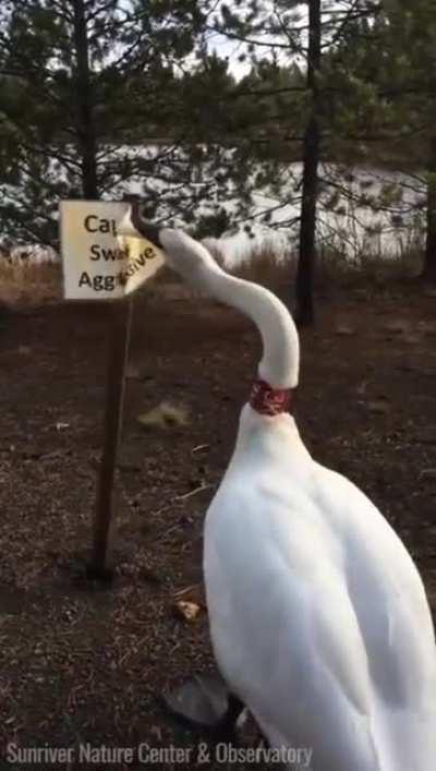 This belongs here i think