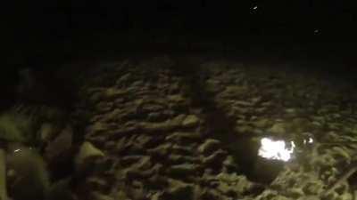 Jumping through a ring of fire