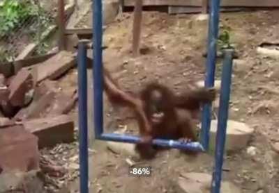 Me experience on the stock market summarized in 10 seconds