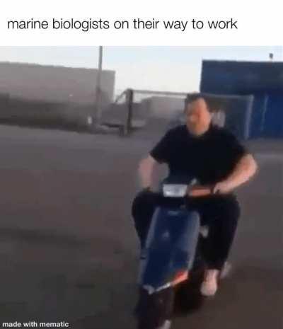 Lets look at some fish