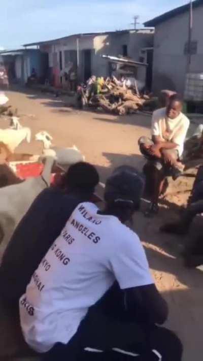 love sheeping around