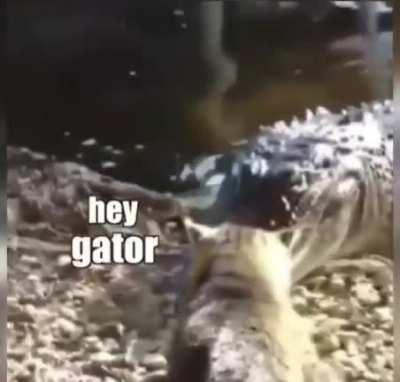 You get a slap, you get a slap and you get a slap!